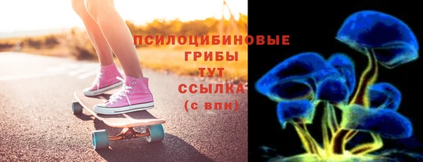 прущие грибы Алексеевка