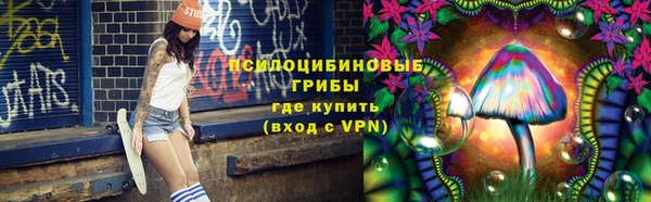 твердый Алзамай