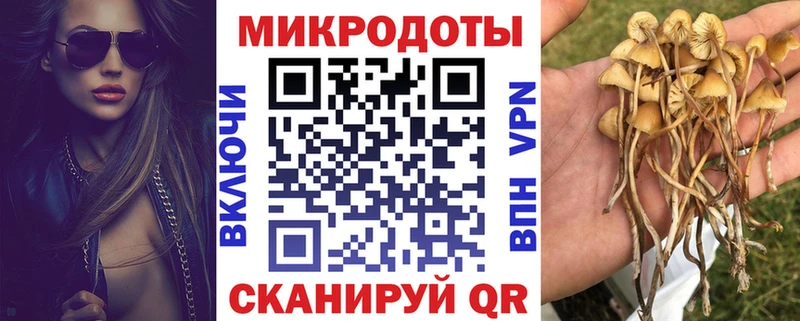 закладка Ладушкин Псилоцибиновые грибы MAGIC MUSHROOMS