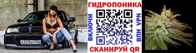 Марихуана Ganja  Ладушкин 